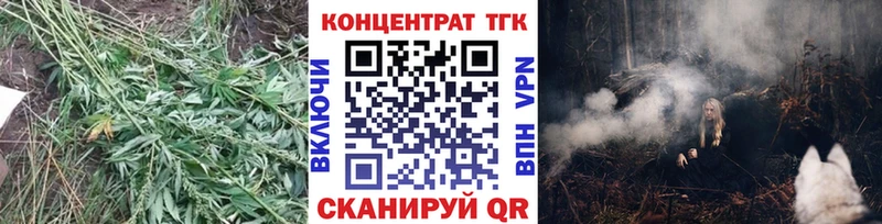Купить  Волжск  ТГК Wax 