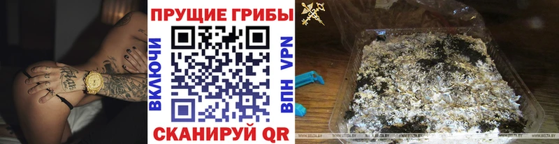 Псилоцибиновые грибы Psilocybine cubensis  Купить закладки  Волжск 