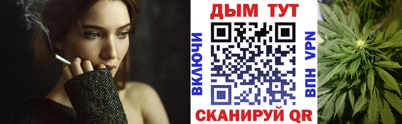Бошки Шишки SATIVA & INDICA  Купить закладки  Волжск 